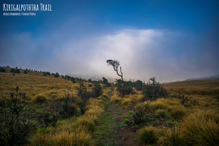 Horton Plains