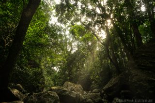 Sun Rays toucing ground at Ranamure